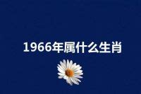 1966年属什么